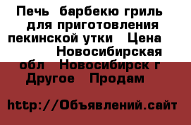 Печь “барбекю-гриль“ для приготовления пекинской утки › Цена ­ 8 800 - Новосибирская обл., Новосибирск г. Другое » Продам   